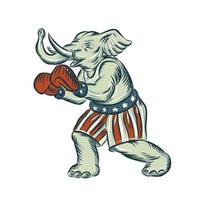 gravura isolada do mascote do pugilista do elefante republicano vetor