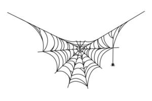 aranha pendurada em sua teia. teia de aranha isolada no fundo branco. ilustração vetorial vetor