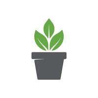 ícone de folha e pote. design moderno de ícone de planta em vaso. folha no vetor de ícone de pote. logotipo do jardim. ilustração vetorial