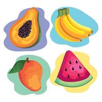 quatro frutas tropicais vetor