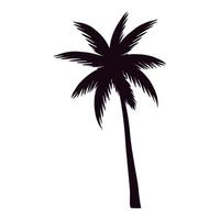 silhueta de palmeira de árvore tropical vetor