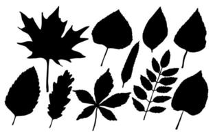 conjunto de folhas de outono pretas isoladas em branco vetor