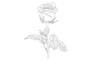 flores rosas desenho com linha-arte em fundos brancos. flores de contorno de vetor. página para colorir de arte de linha com rosas e folhas vetor