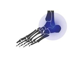 ossos do pé esqueleto humano preto e branco osso do pé vetor