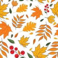 padrão de outono com folhas sazonais de cores da moda vetor