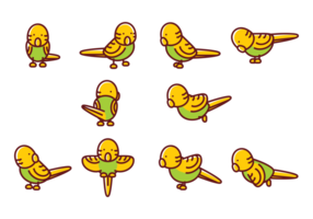 Vetores de desenhos animados Budgie