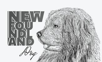 ilustração desenhada de mão com vetor de pincel abstrato de cachorro de terra nova