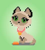 pixel gato siamês de 8 bits. animais para ativos de jogo em ilustração vetorial. vetor