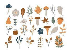 conjunto de clip-art de ilustração vetorial de botânicos de outono vetor