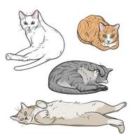 gatos engraçados em várias poses, lambendo, lavando, deitado, dormindo, sentado gatos vetor