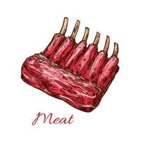 costelas de carne de porco, carne bovina ou esboço isolado de cordeiro vetor