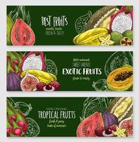 conjunto de banner de quadro-negro de frutas tropicais exóticas vetor