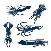 conjunto de ícones de animais marinhos de lula para design de frutos do mar vetor
