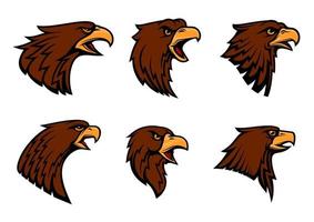 conjunto de ícones de vetor de mascote heráldico de falcão