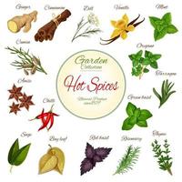 design de cartaz de especiarias, ervas e condimentos quentes vetor