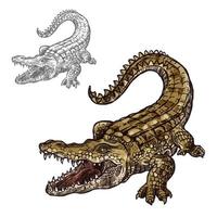 ícone de esboço isolado de vetor de crocodilo jacaré