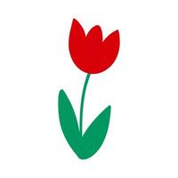 flor de tulipa vermelha. ilustração vetorial vetor