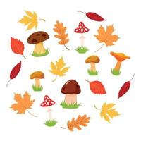 conjunto de folhas de outono. folhas diferentes fofas, cogumelos. ilustração vetorial de elementos sazonais de outono vetor