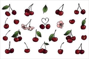 clipart de cereja vetorial. ícone de baga desenhada de mão. conjunto de ilustração de frutas vetor