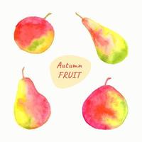 conjunto de maçãs e peras em aquarela esboço rápido em aquarela de frutas de outono. vetor
