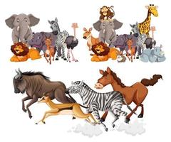 grupos de animais selvagens em estilo cartoon vetor
