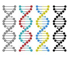 projeto de DNA humano vetor