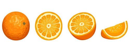 deliciosa fruta laranja vetor