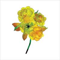bela ilustração em aquarela com flor amarela isolada no fundo branco para design decorativo. vetor