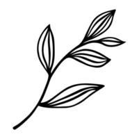 ícone de vetor de galho de árvore. veias nas folhas com um caule. contorno preto, doodle. ilustração desenhada à mão isolada no branco. esboço botânico de um campo, floresta, planta de jardim. clipart para cartões, cartazes
