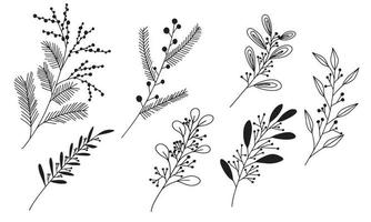 conjunto de ramo abstrato de decoração de desenho de mão para design de natal. abeto e baga e folhas. ilustração vetorial. vetor