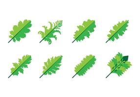 Livre Acanthus Leaf Icon Vector