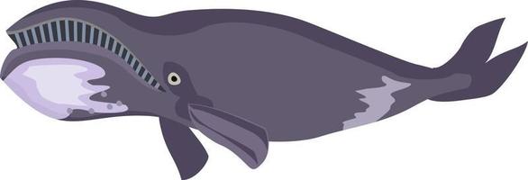 baleia engraçada de desenho vetorial. baleia-da-groenlândia vetor