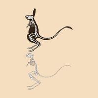 ilustração em vetor esqueleto maior jerboa egípcio