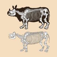 ilustração vetorial de esqueleto de rinoceronte vetor