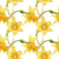 padrão floral amarelo com narciso vetor