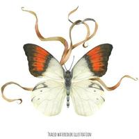 composição de lapela com borboletas e plantas vetor