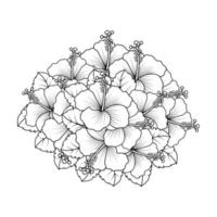 rosa de sharon flor ilustração de página para colorir com traço de arte de linha de mão preto e branco desenhado vetor