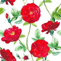 sem costura padrão floral com rosas vermelhas em aquarela vetor
