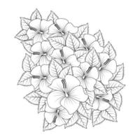 flor de hibisco syriacus ou página de coloração de flor de hibisco comum do design de contorno de ilustração de livro vetor