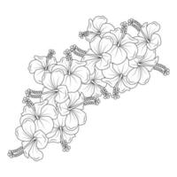 flores de hibisco para colorir ilustração de página com folhas de hibisco havaiano e contorno rosa de sharon vetor