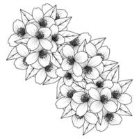 página de coloração de flores desenho à mão arte de linha de flor preta com design decorativo para impressão vetor