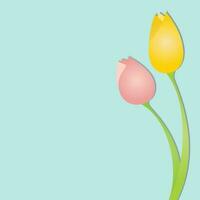 gráfico de ilustração vetorial de flores de tulipa vetor