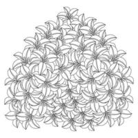 flor de lírio e flor de lírio para colorir esboçar gráficos vetoriais de arte de linha decorativa vetor