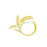 design de ícone de vetor de arroz de trigo de agricultura