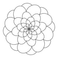 floral, flores de mandala de aster desenhadas à mão em estilo doodle isolado no fundo branco. página para colorir para adultos e crianças, decorando a sala de jogos para crianças ou cartão de felicitações. crisântemo, lótus. vetor