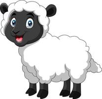 ovelha engraçada dos desenhos animados um sorriso vetor