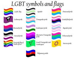 coleção oficial de bandeiras do orgulho lgbt, lésbicas, gays, bissexuais e transgêneros. coleção de sinais para pessoas de diferentes orientações sexuais. vetor
