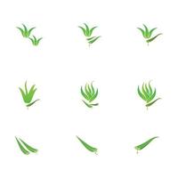 modelo de design de ilustração de logotipo de aloe vera vetor