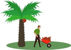 trabalhadores em plantações de dendezeiros estão colhendo frutos de palmeiras, fazenda de coqueiros para moinhos de óleo, ilustração para ícone plano vetor