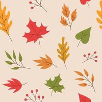 padrão de outono sem costura. folhas. folha de bordo, folha de bétula, folha de carvalho, folha de tília, rowan. vetor